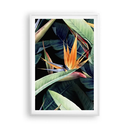 Poster in cornice bianca - I fiori fiammeggianti dei tropici - 61x91 cm