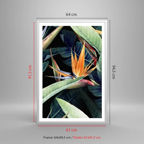 Poster in cornice bianca - I fiori fiammeggianti dei tropici - 61x91 cm