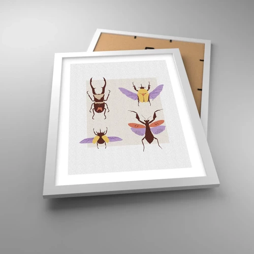 Poster in cornice bianca - Il mondo degli insetti - 30x40 cm