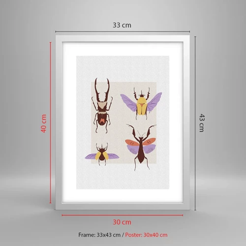 Poster in cornice bianca - Il mondo degli insetti - 30x40 cm