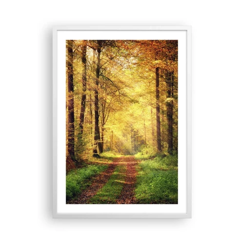 Poster in cornice bianca - Il silenzio d'oro del bosco - 50x70 cm