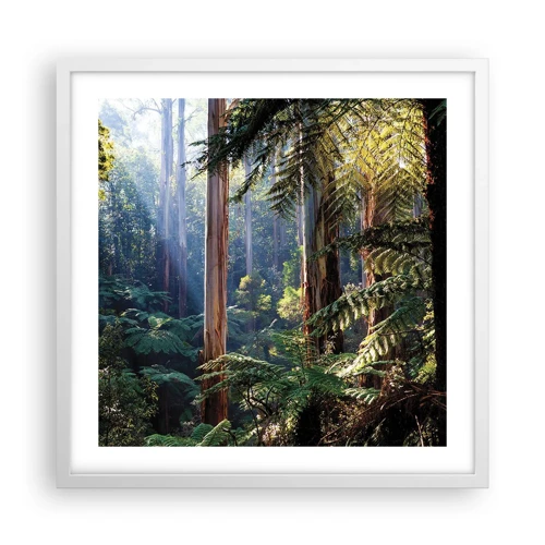 Poster in cornice bianca - La favola del bosco - 50x50 cm
