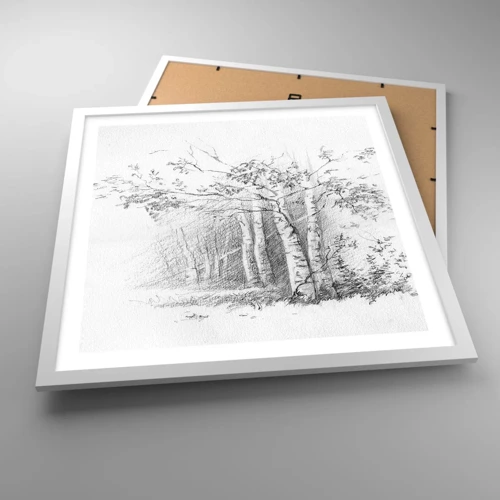 Poster in cornice bianca - La luce della foresta di betulle - 50x50 cm