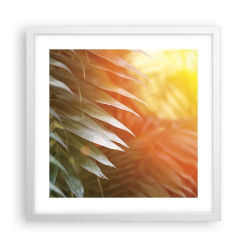 Poster in cornice bianca - L'alba nella giungla - 40x40 cm