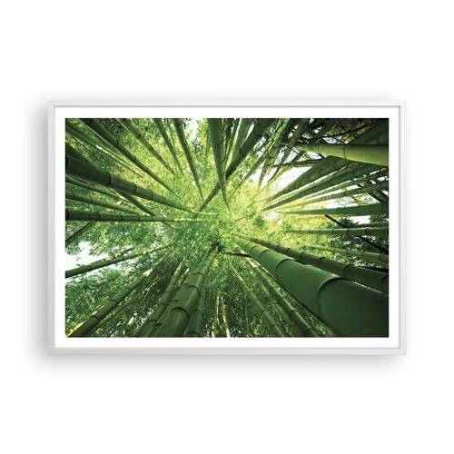Poster in cornice bianca - Nella foresta di bambù - 100x70 cm