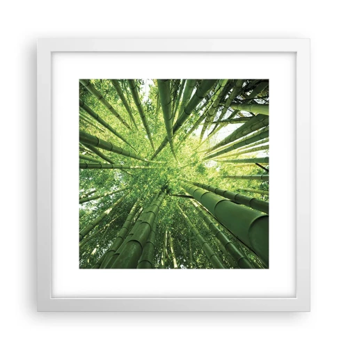 Poster in cornice bianca - Nella foresta di bambù - 30x30 cm