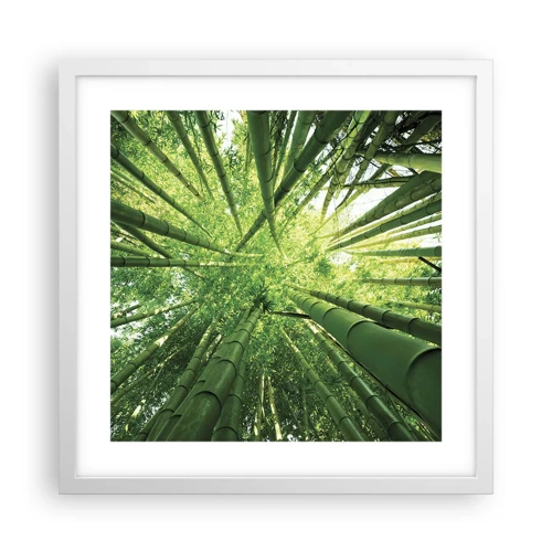 Poster in cornice bianca - Nella foresta di bambù - 40x40 cm