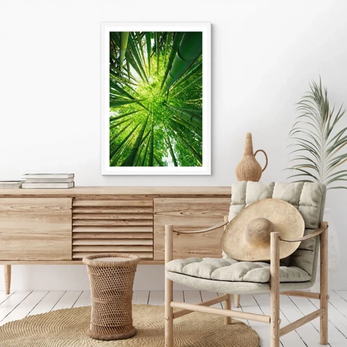 Poster in cornice bianca - Nella foresta di bambù - 50x70 cm