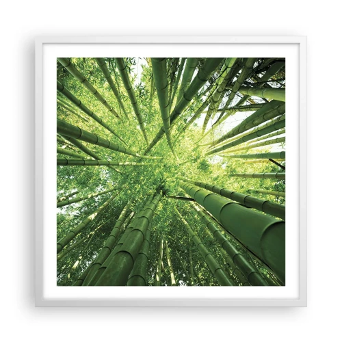 Poster in cornice bianca - Nella foresta di bambù - 60x60 cm