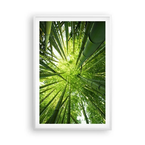 Poster in cornice bianca - Nella foresta di bambù - 61x91 cm