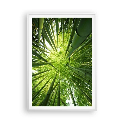 Poster in cornice bianca - Nella foresta di bambù - 70x100 cm