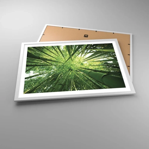 Poster in cornice bianca - Nella foresta di bambù - 70x50 cm