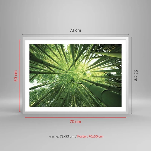 Poster in cornice bianca - Nella foresta di bambù - 70x50 cm