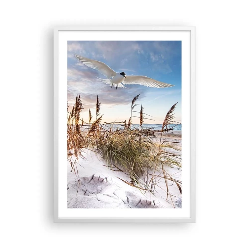 Poster in cornice bianca - Vento dal mare - 50x70 cm