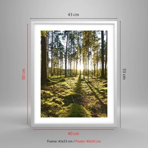 Poster in cornice bianca - …dopo sette foreste - 40x50 cm