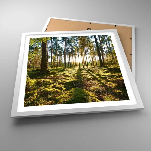 Poster in cornice bianca - …dopo sette foreste - 50x50 cm