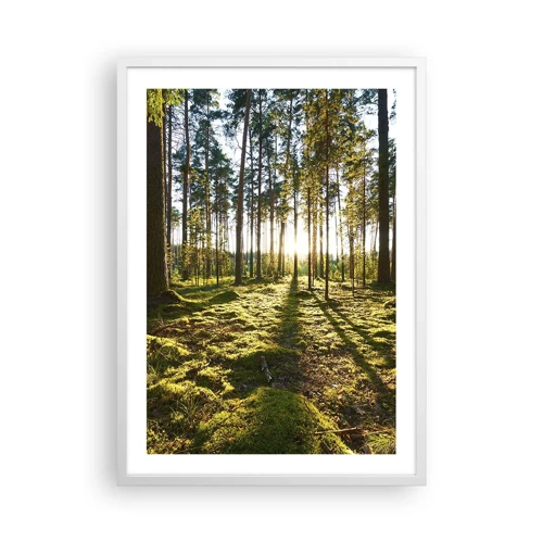 Poster in cornice bianca - …dopo sette foreste - 50x70 cm