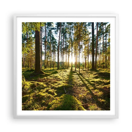 Poster in cornice bianca - …dopo sette foreste - 60x60 cm