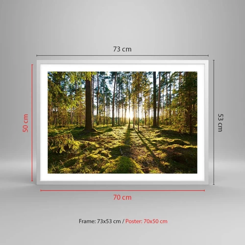 Poster in cornice bianca - …dopo sette foreste - 70x50 cm