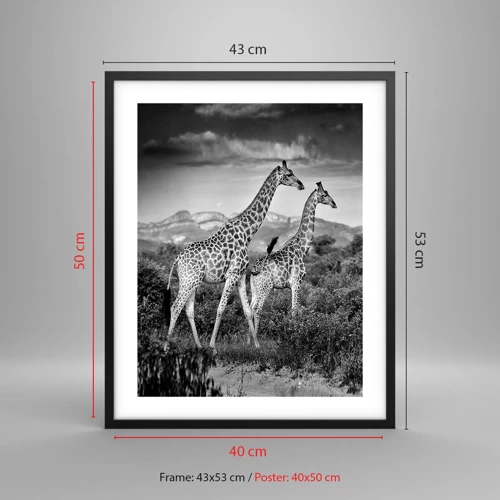 Poster in cornice nera - Alta classe in Africa - 40x50 cm