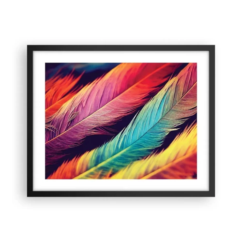 Poster in cornice nera - Arcobaleno piumato - 50x40 cm