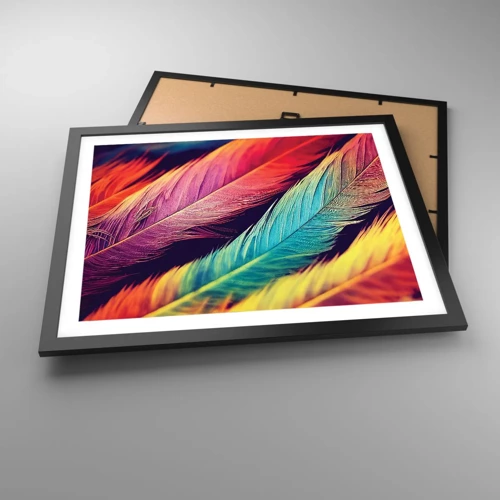 Poster in cornice nera - Arcobaleno piumato - 50x40 cm