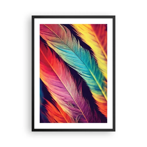 Poster in cornice nera - Arcobaleno piumato - 50x70 cm