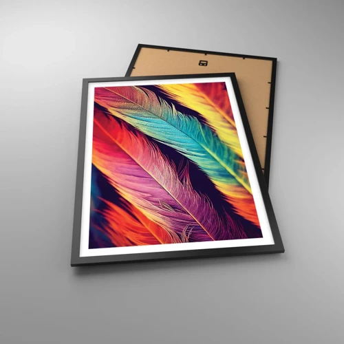 Poster in cornice nera - Arcobaleno piumato - 50x70 cm