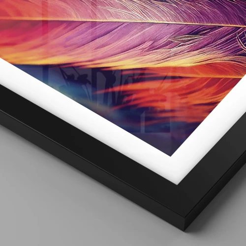 Poster in cornice nera - Arcobaleno piumato - 50x70 cm