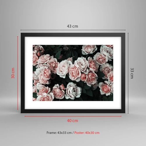 Poster in cornice nera - Composizione di rose - 40x30 cm