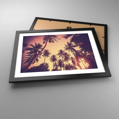 Poster in cornice nera - Composizione tropicale - 40x30 cm