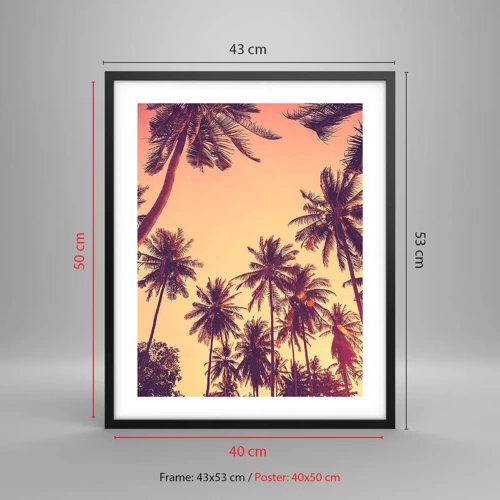 Poster in cornice nera - Composizione tropicale - 40x50 cm