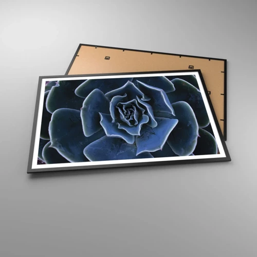 Poster in cornice nera - Fiore del deserto - 100x70 cm
