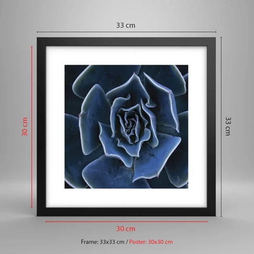 Poster in cornice nera - Fiore del deserto - 30x30 cm
