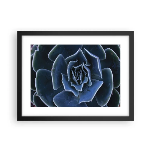Poster in cornice nera - Fiore del deserto - 40x30 cm