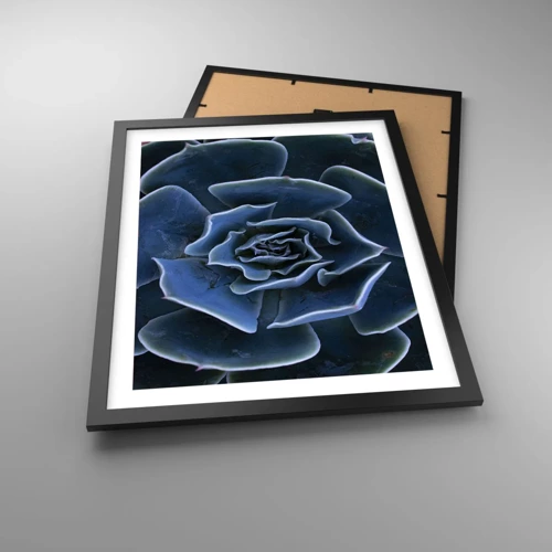 Poster in cornice nera - Fiore del deserto - 40x50 cm