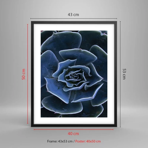 Poster in cornice nera - Fiore del deserto - 40x50 cm