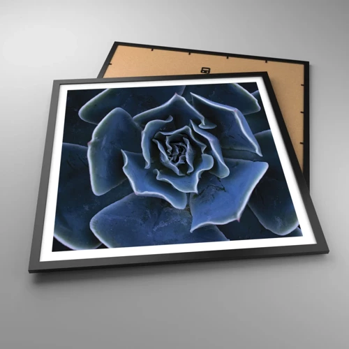 Poster in cornice nera - Fiore del deserto - 60x60 cm