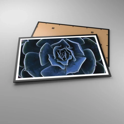 Poster in cornice nera - Fiore del deserto - 91x61 cm