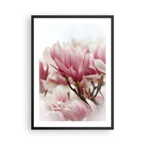 Poster in cornice nera - Fiori di primavera - 50x70 cm