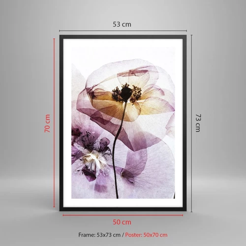 Poster in cornice nera - Fiori trasparenti - 50x70 cm