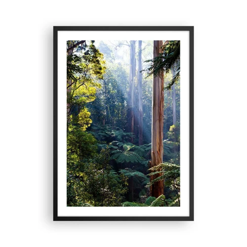 Poster in cornice nera - La favola del bosco - 50x70 cm