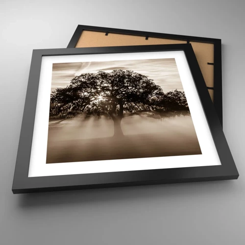 Poster in cornice nera - L'albero delle sole buone notizie - 30x30 cm