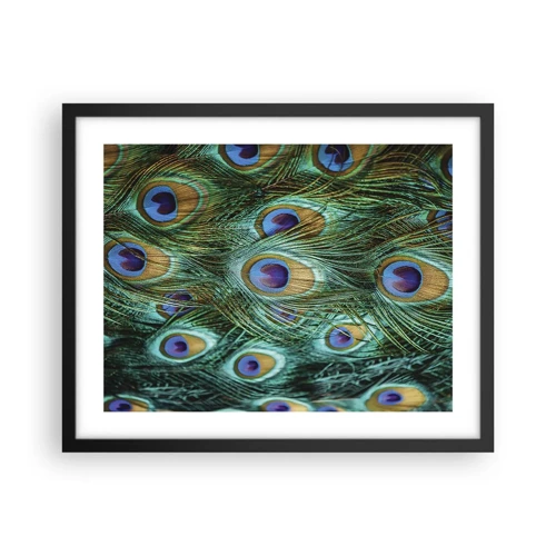 Poster in cornice nera - Lo sguardo del pavone - 50x40 cm