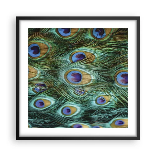 Poster in cornice nera - Lo sguardo del pavone - 50x50 cm