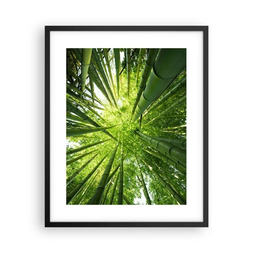Poster in cornice nera - Nella foresta di bambù - 40x50 cm