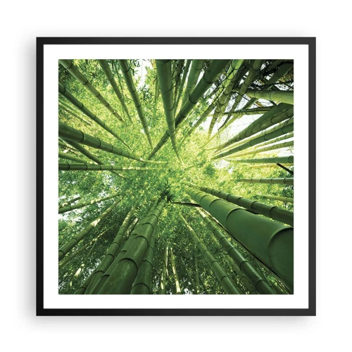 Poster in cornice nera - Nella foresta di bambù - 60x60 cm