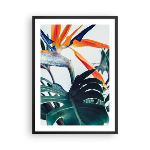 Poster in cornice nera - Pianta uccello - 50x70 cm