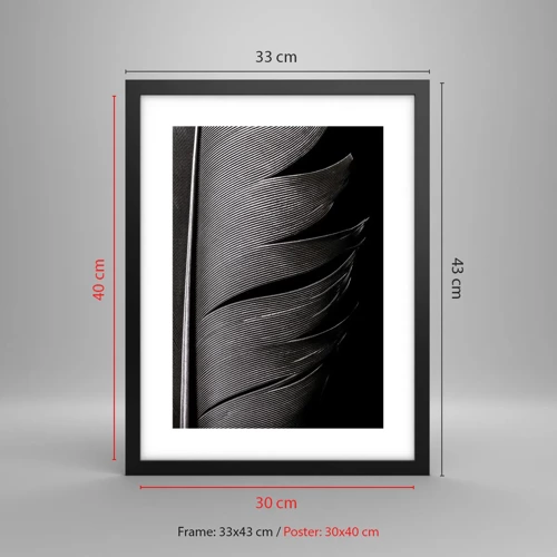 Poster in cornice nera - Piuma: struttura meravigliosa - 30x40 cm