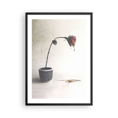 Poster in cornice nera - Rosa dolorosa - 50x70 cm